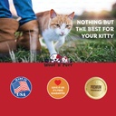 vitamin-b-for-cats-b12-for-cats-vitamin--6.jpg