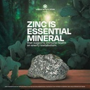 zinc-50mg-200-caplets-high-potency-zinc--3.jpg