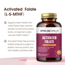 activated-folate-l-5-mthf-dfe-supplement-3.jpg