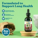 bright-lungs---lung-detox-support-supple-6.jpg