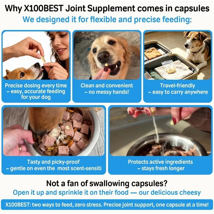 oral-probiotics-for-dogs-11-strains-bad--2.jpg