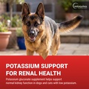vetoquinol-renal-k-potassium-supplement--2.jpg
