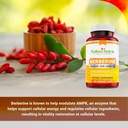 kaibro-nutra-berberine-supplement-1000mg-5.jpg