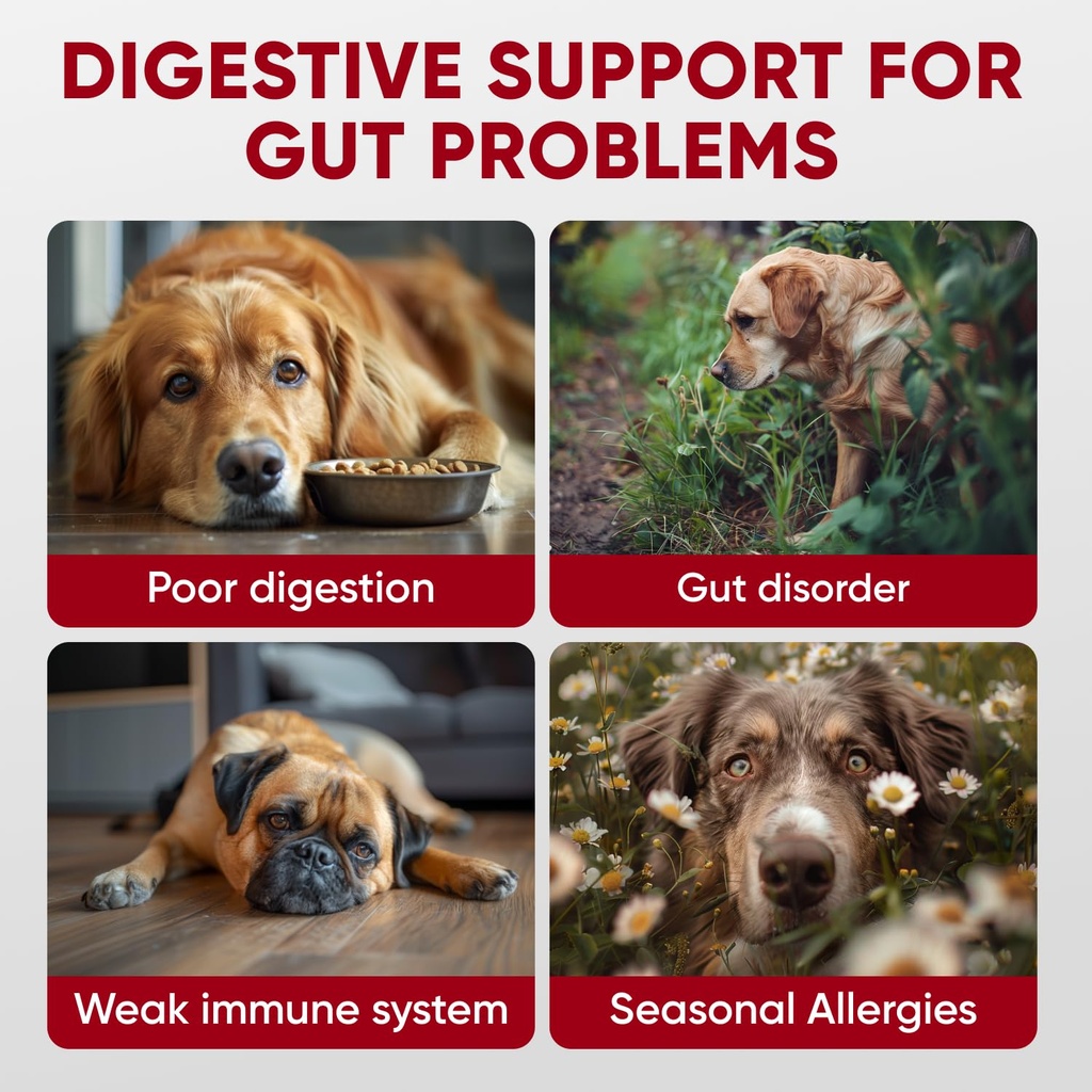 probiotics-for-dogs-digestive-health-pro-2.jpg