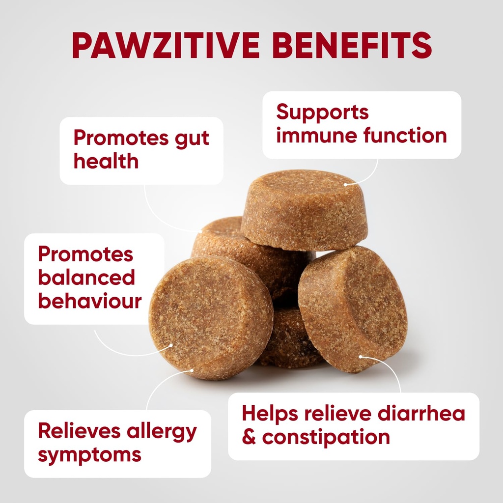 probiotics-for-dogs-digestive-health-pro-3.jpg