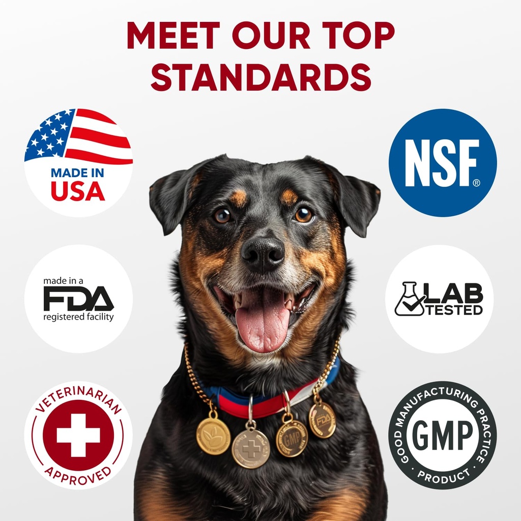 probiotics-for-dogs-digestive-health-pro-6.jpg