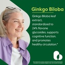bestvite-ginkgo-biloba-120mg-240-capsule-2.jpg
