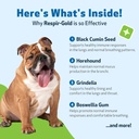 pet-wellbeing-respir-gold-for-dogs---sup-5.jpg