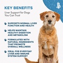 hepatic-liver-support-for-dogs-dissolvab-2.jpg