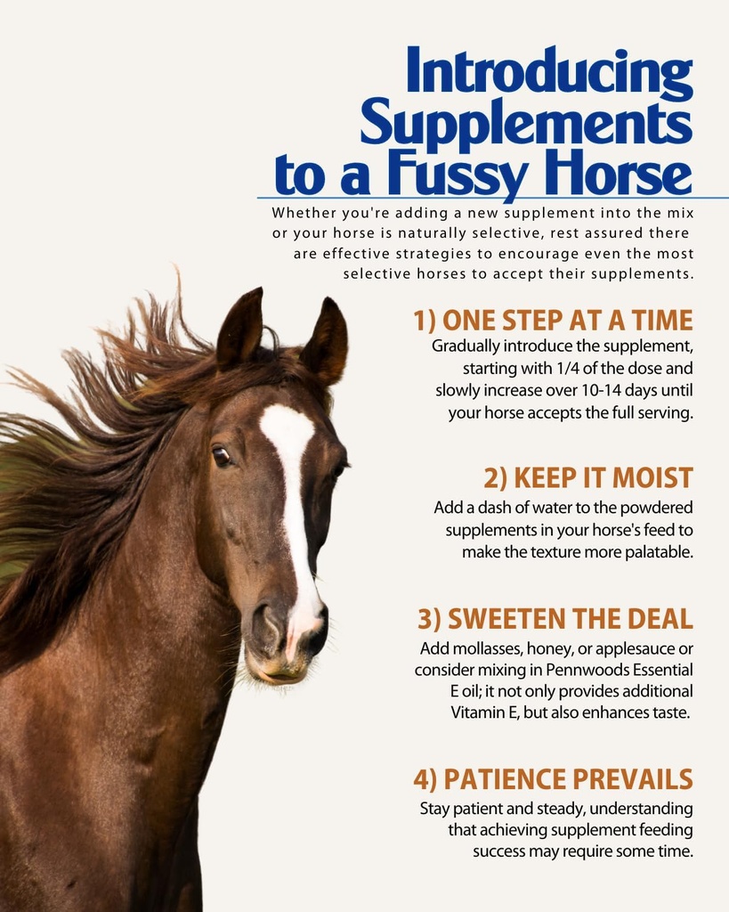 pennwoods-gi-renew-probiotics-for-equine-4.jpg
