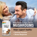 solaray-fermented-chaga-mushroom-1000-mg-3.jpg