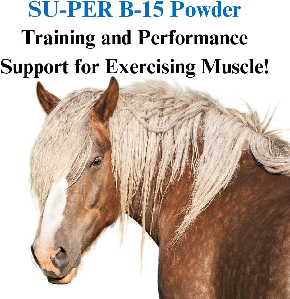 su-per-b-15-vitamin-supplement-for-horse-2.jpg