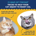 under-the-weather-pet-ready-cal-for-cats-4.jpg