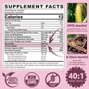 sugar-free-2pack-turmeric-ginger-gummies-4.jpg