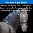 su-per-equi-tinic-horse-minerals-supplem-4.jpg