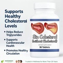 sin-colesterol-cholesterol-support-90-ta-3.jpg