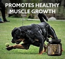 predator-muscle-builder-chewable-tablets-2.jpg