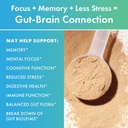 biohm-gut-brain-connection-memory-focus--3.jpg