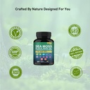 organic-sea-moss-black-seed-oil-ashwagan-4.jpg
