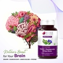bliss-welness-brain-booster-memory-focus-81pEkLKdb0L.jpg