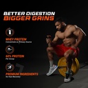 fuelone-whey-protein-blend-rich-chocolat-81il30PiL8L.jpg