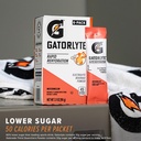 gatorlyte-powder-watermelon-makes-20-fl--5.jpg