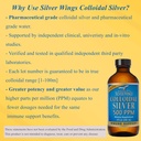 natural-path-silver-wings-colloidal-silv-6.jpg