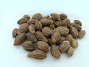 advancedestore-dried-whole-karakkaya-har-915PARfUXvL.jpg