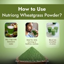 nutriorg-wheat-grass-powder-boost-immuni-71isPUhWT5L.jpg