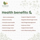 bionode-organics-ripe-jackfruit-powder-g-61X-2XPK-NL.jpg