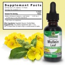 natures-answer-mullein-leaf-herbal-suppl-3.jpg