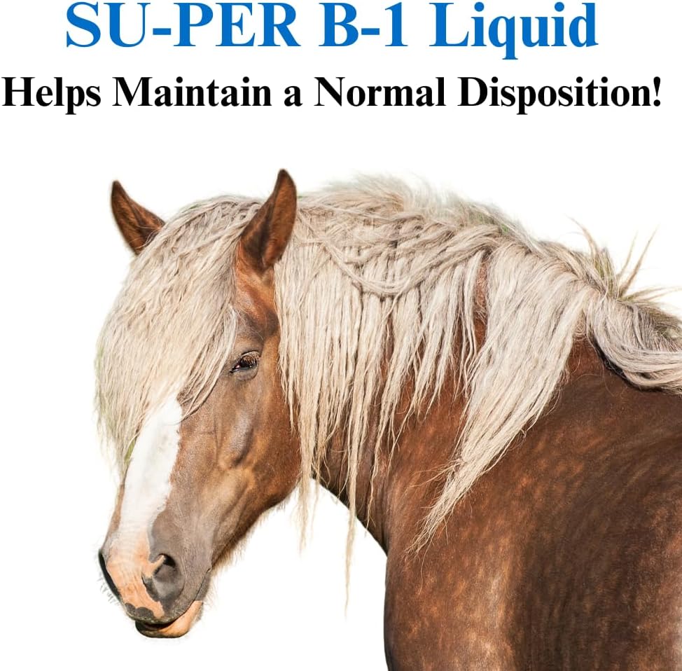 su-per-b-1-horse-calming-supplement---eq-3.jpg