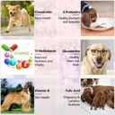 15-in-1-dog-multivitamin-drops-for-dogs--6.jpg