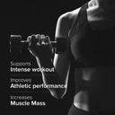 gnc-pro-performance-creatine-monohydrate-51qSW07k7aL.jpg