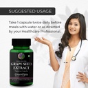 nutritional-meal-shake-chocolate-ease-sp-614Zkxh3iPL.jpg