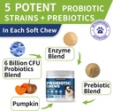 probiotics-for-dogs-improve-itchy-skin-i-3.jpg