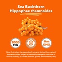 organic-sea-buckthorn-extract-powder-wit-5.jpg