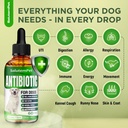 natural-antibiotics-for-dogs-dog-antibio-2.jpg