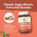bundle-of-fiber-gummies---chicory-root-s-5.jpg