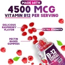 b-12-vitamin-energy-gummies-4500mcg---ex-3.jpg