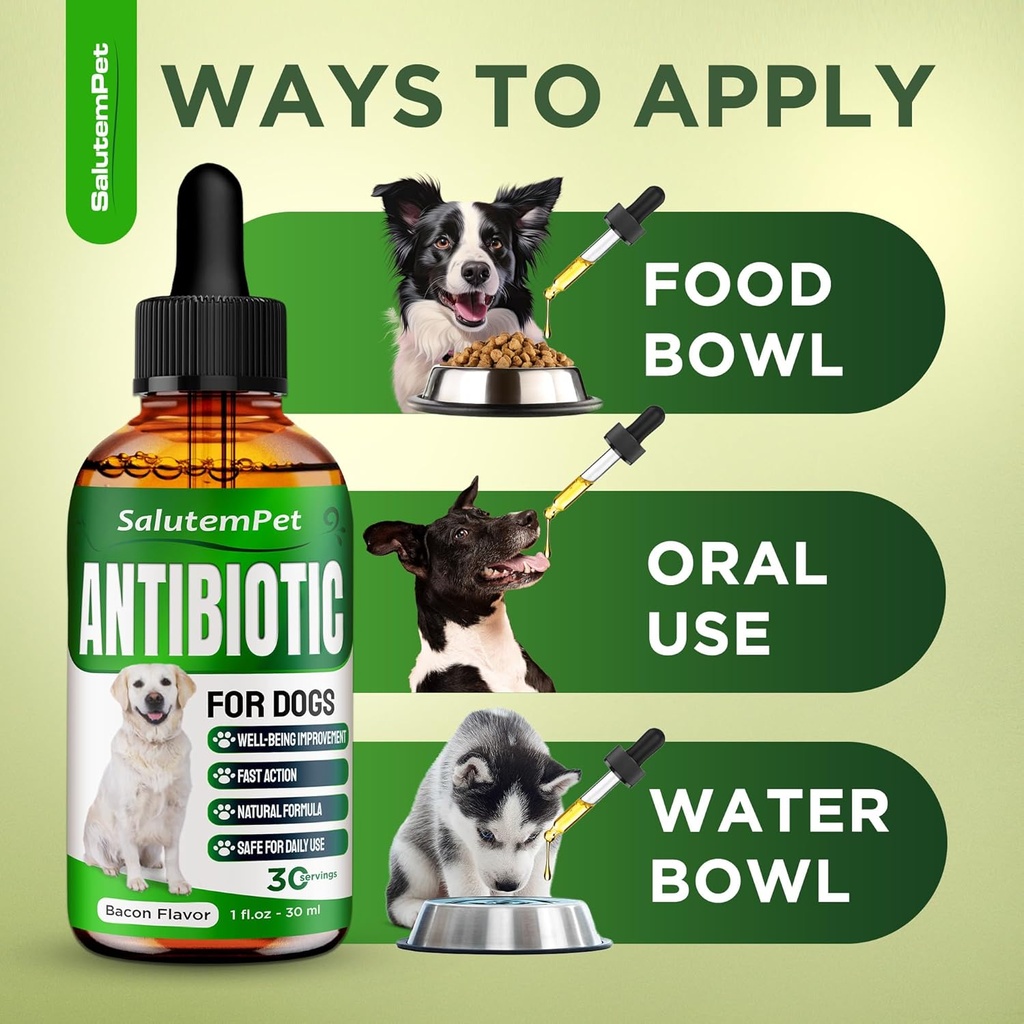 natural-antibiotics-for-dogs-dog-antibio-5.jpg