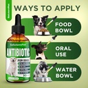 natural-antibiotics-for-dogs-dog-antibio-5.jpg