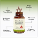 herbal-roots-extra-strength-cranberry-pi-4.jpg