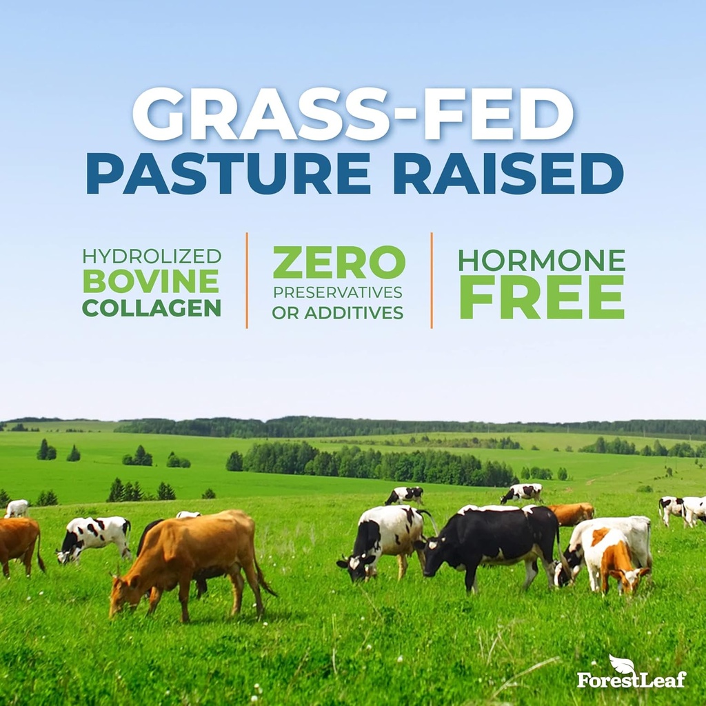 forestleaf-collagen-peptides-powder-unfl-4.jpg