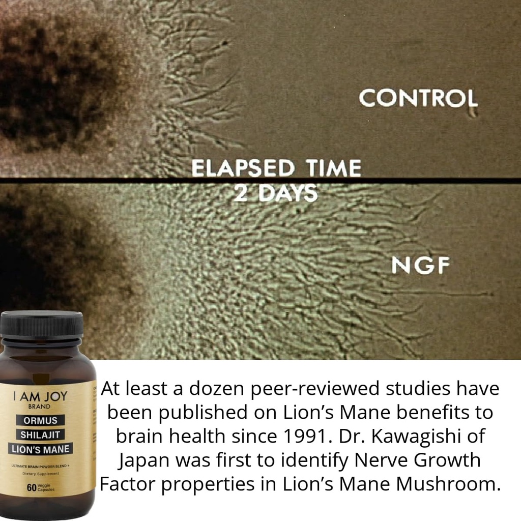 i-am-joy-co-ormus-shilajit-lions-mane----3.jpg