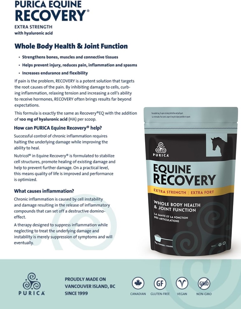 purica-equine-hyaluronic-acid---horse-jo-3.jpg