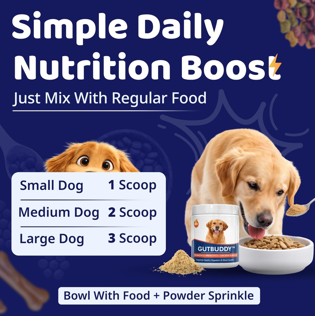boltz-pre-probiotics-for-dogs-200g-9b-cf-81I9TsZJWLL.jpg