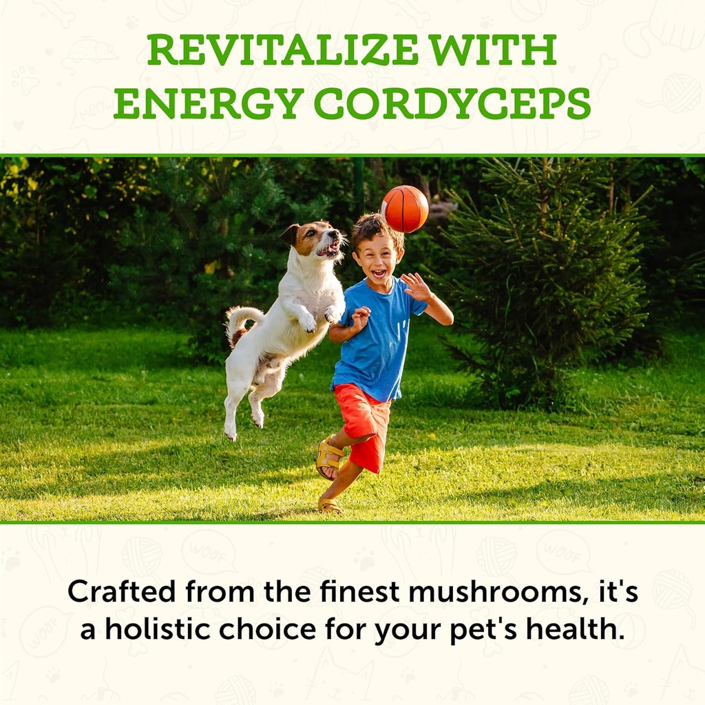 animal-essentials-energy-cordyceps-mushr-4.jpg