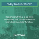 resvitale-resveratrol-250-mg---resveratr-4.jpg