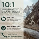 jungle-powders-ultimate-vitality-bundle--2.jpg